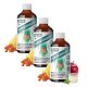 Natur Tanya VEGÁN BÉLRADÍR PLUSZ 3x1 flakon prebiotikus rostok citromfűvel 3x480 ml csomagban olcsóbb!
