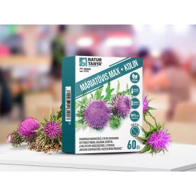   Natur Tanya MÁRIATÖVIS MAX + KOLIN - Maximális mennyiségű szilimarin, kolinnal  60 db kapszula