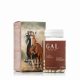 GAL Shoden® Ashwagandha 60 kapszula