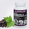 Javallat Fekete ribizli levél étrend-kiegészítő gyógynövénykapszula - 60 db