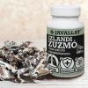 Javallat Izlandi zuzmó étrend-kiegészítő gyógynövénykapszula - 60 db