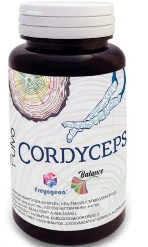 Cordyceps 300mg ( 60 kapszula ) hernyó lepkefű gyógygomba