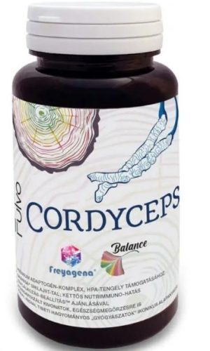 Freyagena Cordyceps 300mg 60 kapszula hernyó lepkefű gyógygomba