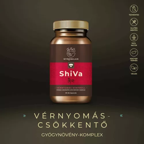 Myrobalan ShiVa vérnyomáscsökkentő gyógynövény-komplex 60 db vegán kapszula 