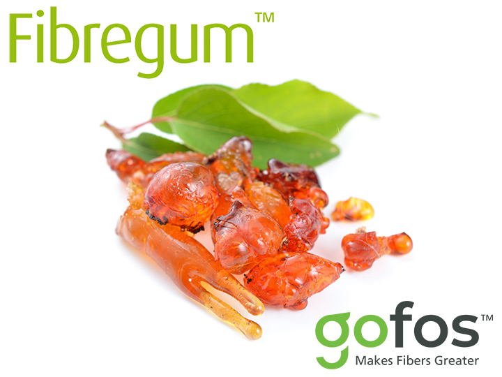 Fogyás a hasról prebiotikumokkal