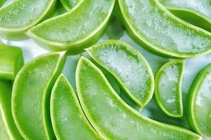 vegán, aloe vera, bőrápolás