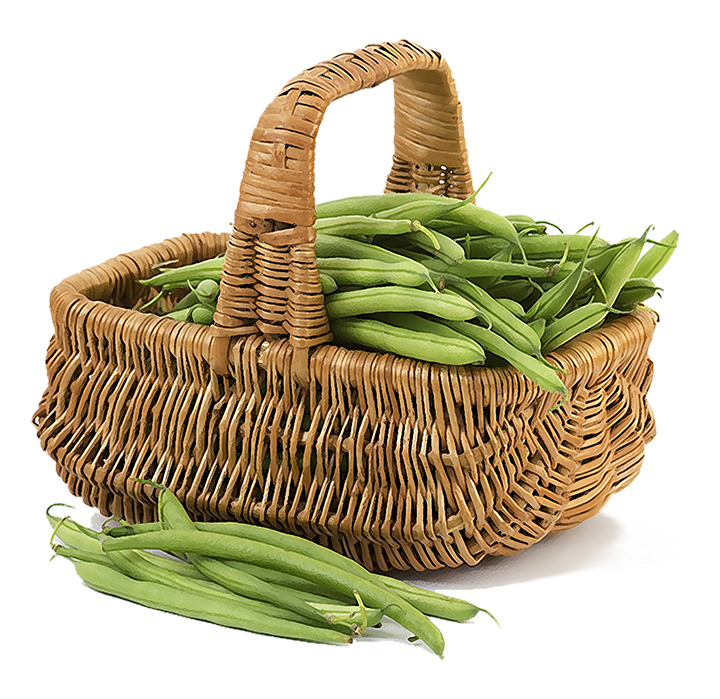 Vegán Gyomorbarát Rost és bélflóra egyensúly