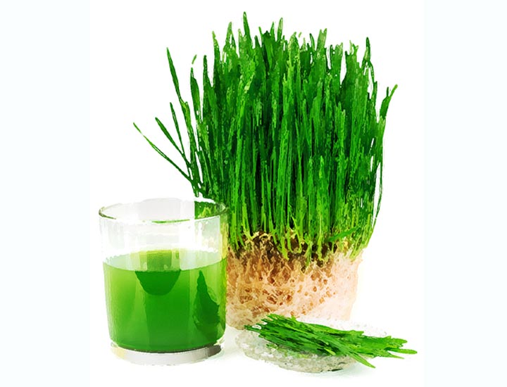 Vegán zöld búzafű energia